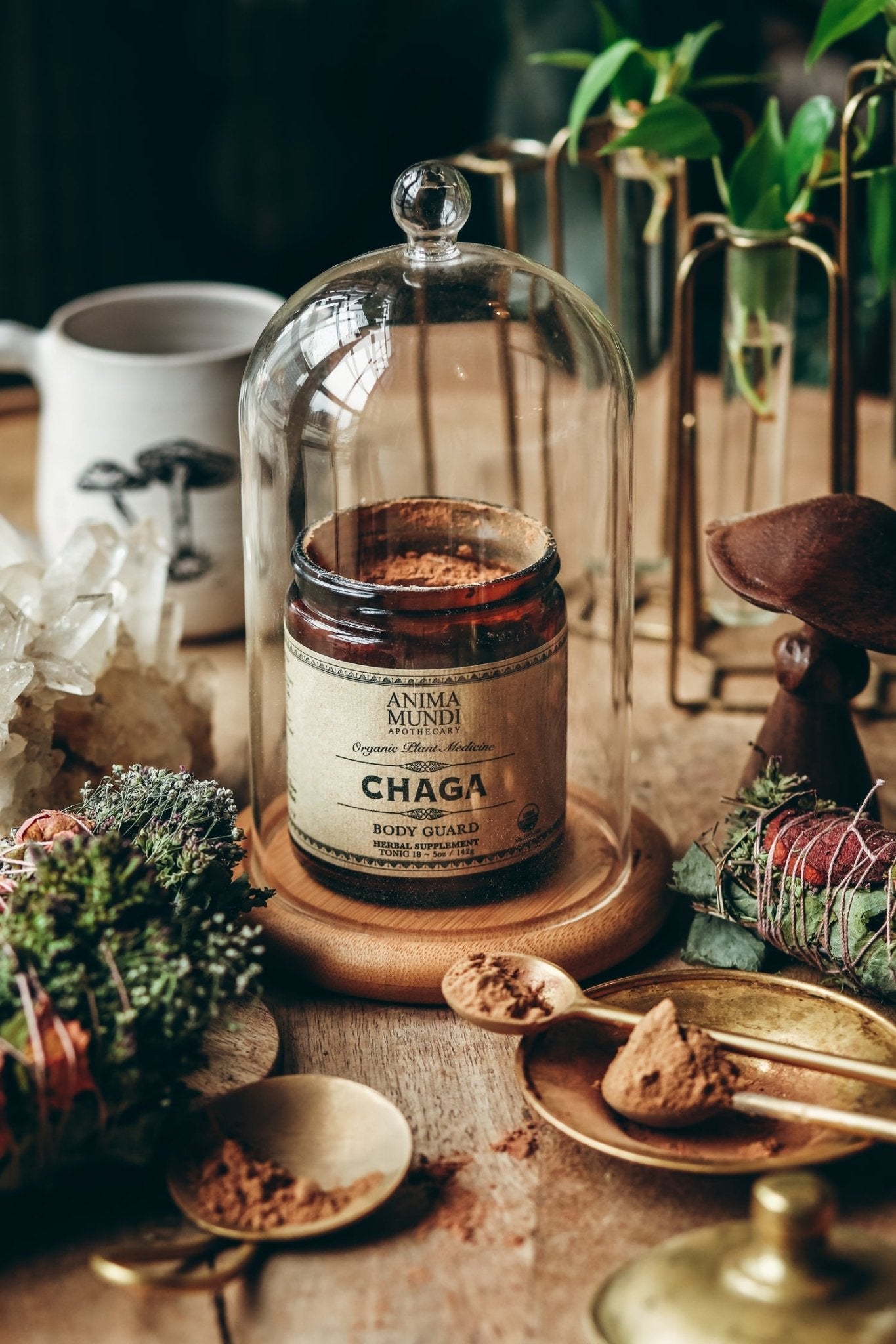 CHAGA | Body Guard - Echo Market