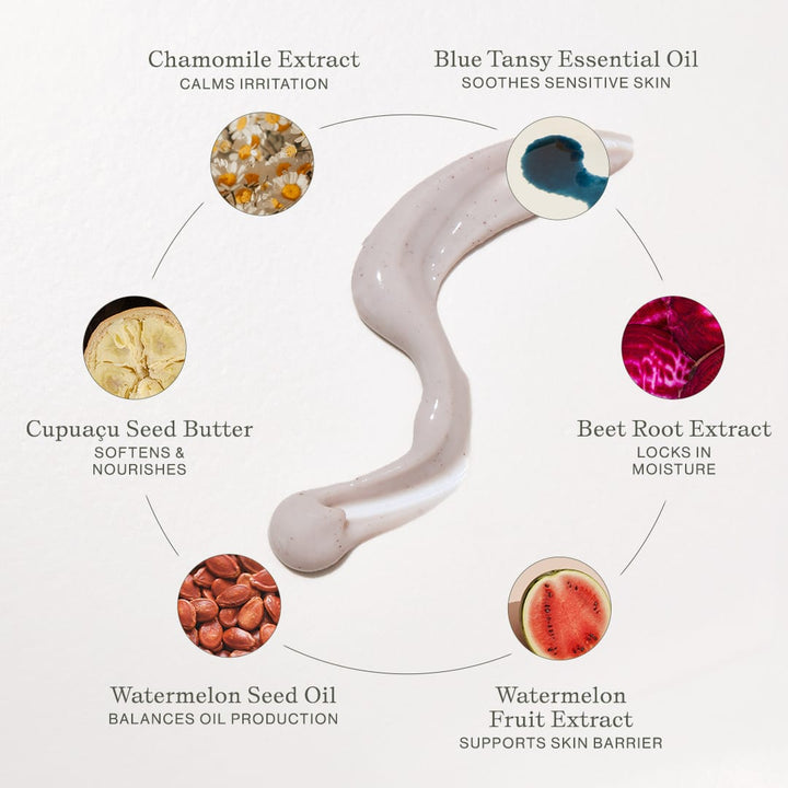 Chamomile &amp; Tansy Cream Cleanser - Echo Market