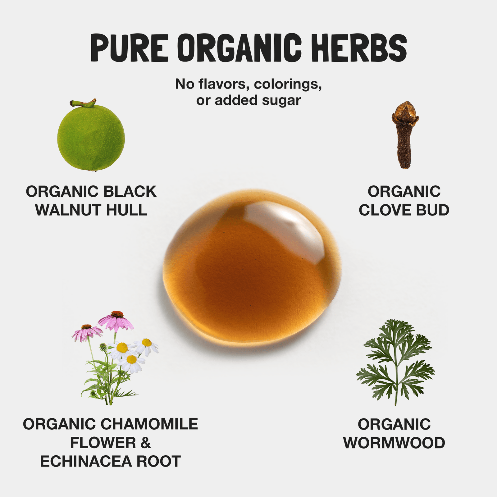 Children's Parasite Formula - Echo Market