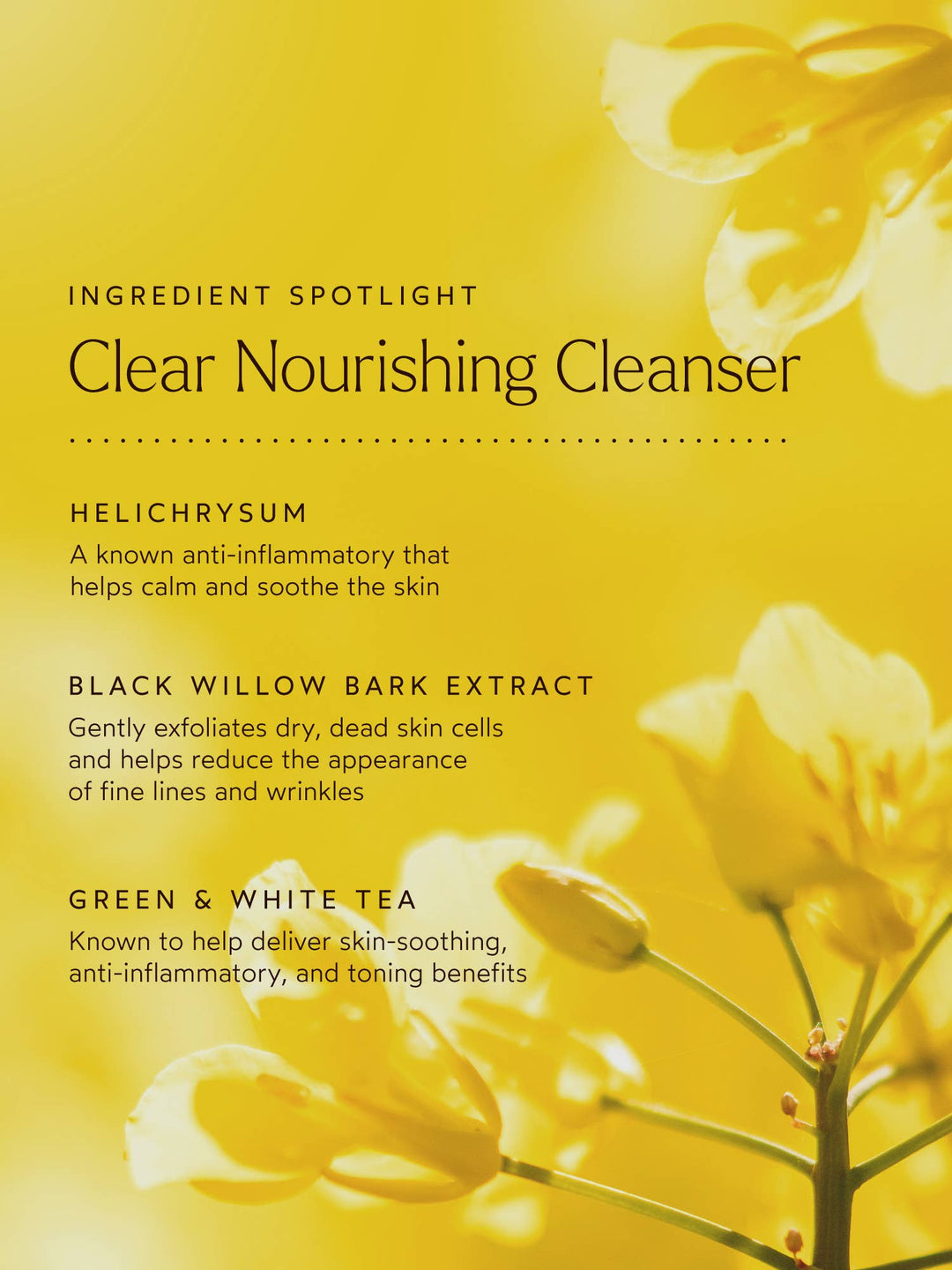 Clear Nourishing Cleanser - Echo Market