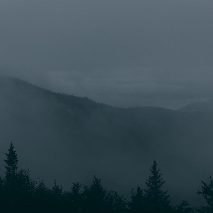 A moody, misty mountain landscape with dark evergreen tree silhouettes in the foreground and fog obscuring the hills under a gray sky.