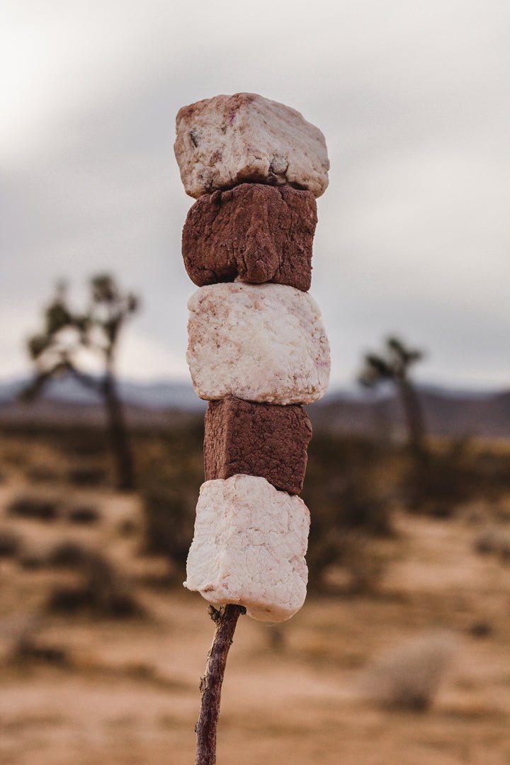 Cocoa Dipped Marshmallows - Echo Market