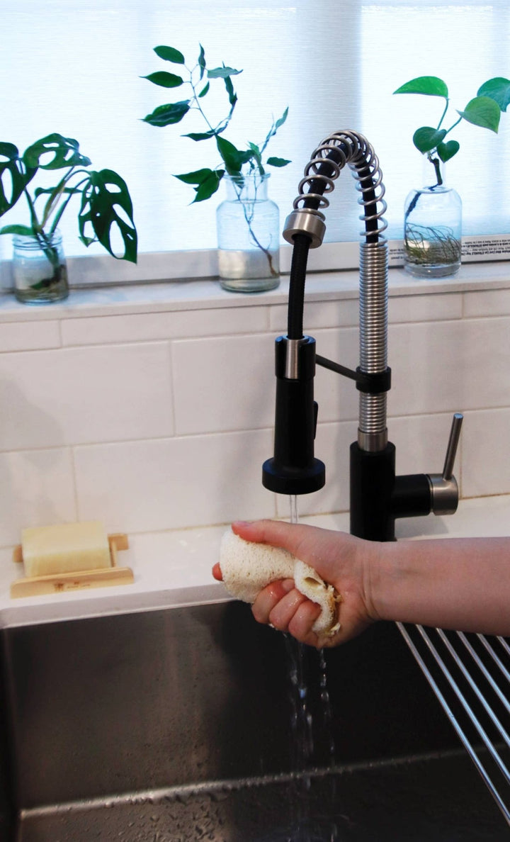 Compostable Loofah Dish Sponge | 3 - Pack - Echo Market