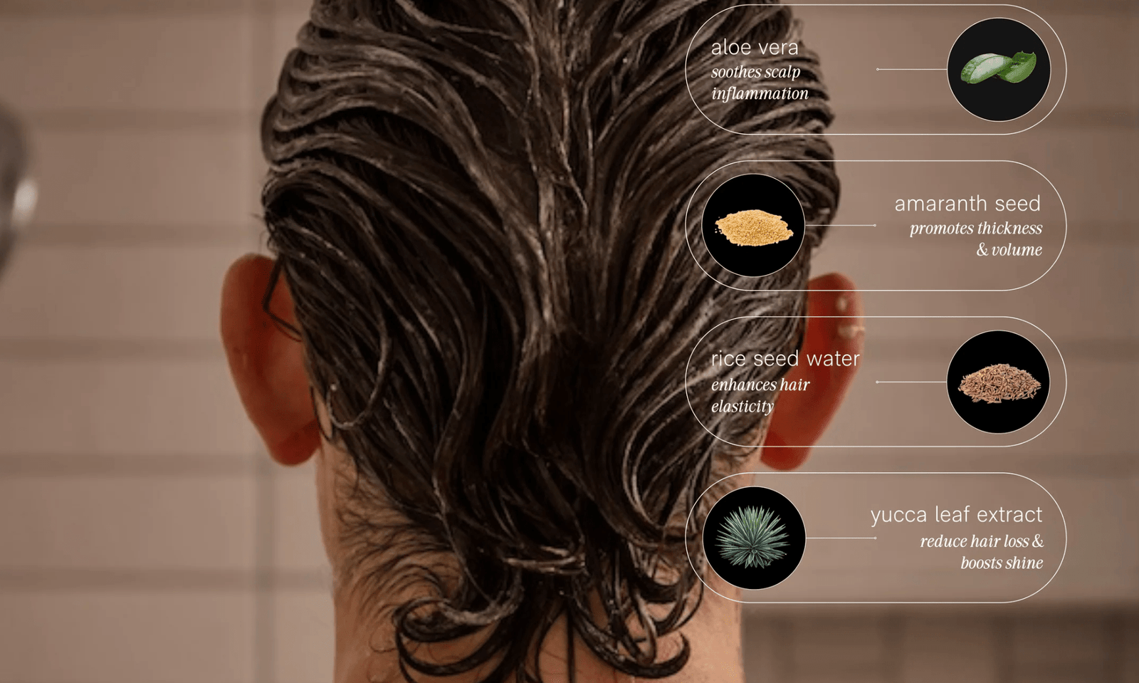 Conditioner - Echo Market