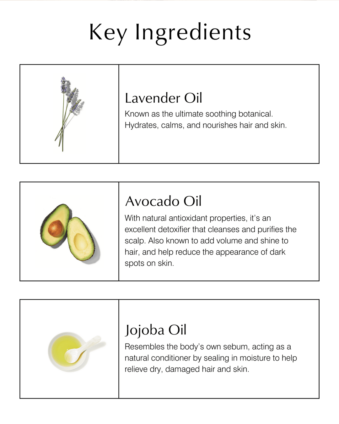 Conditioner for Dry Hair with Lavender & Avocado - Echo Market