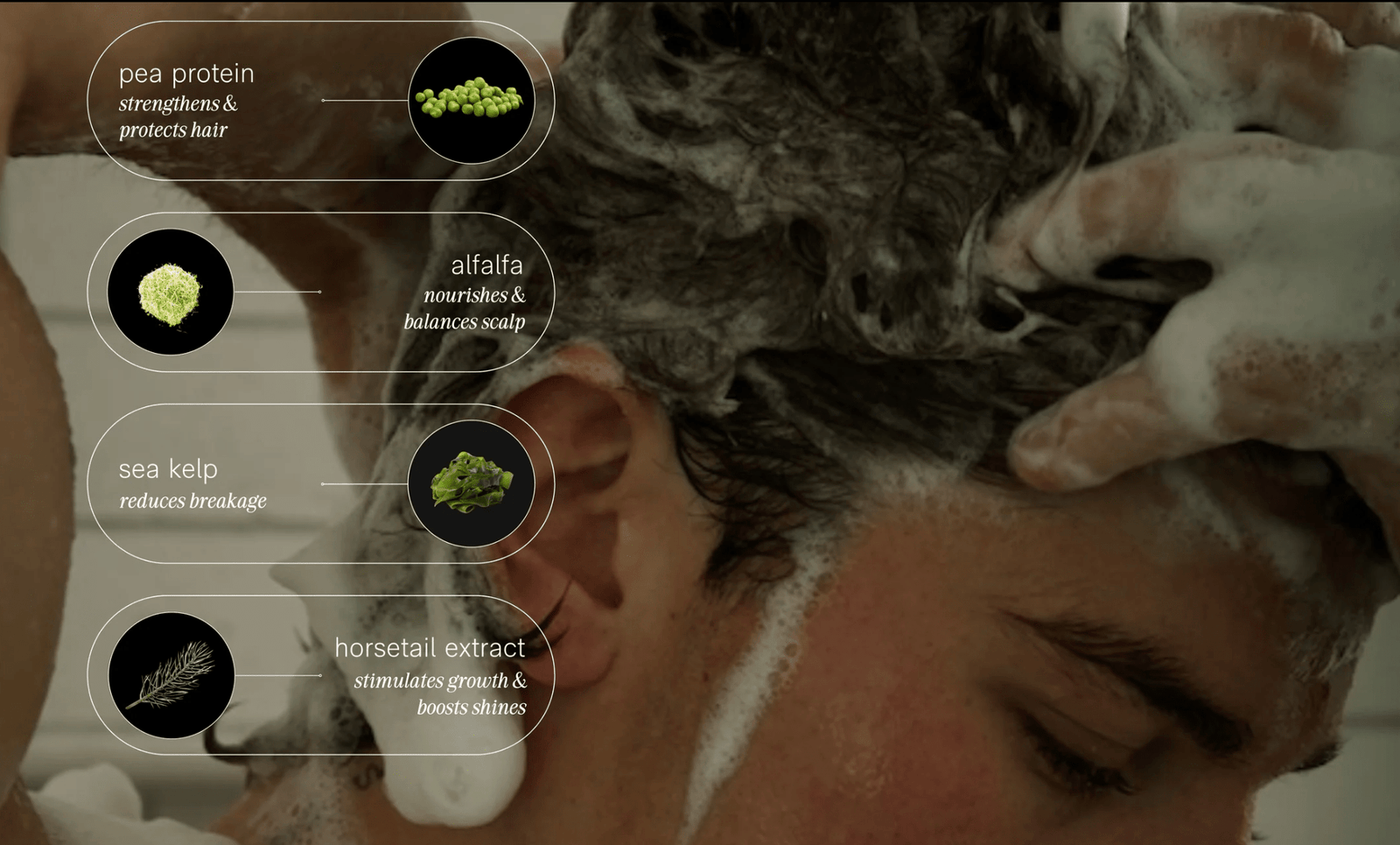 Creamy Shampoo - Echo Market