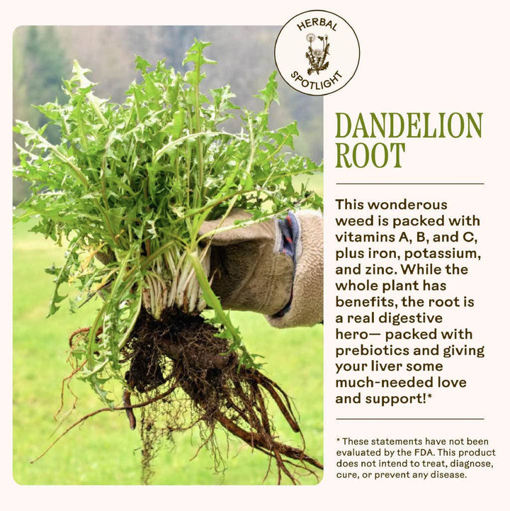 Dandelion Digestive Bitters - Echo Market