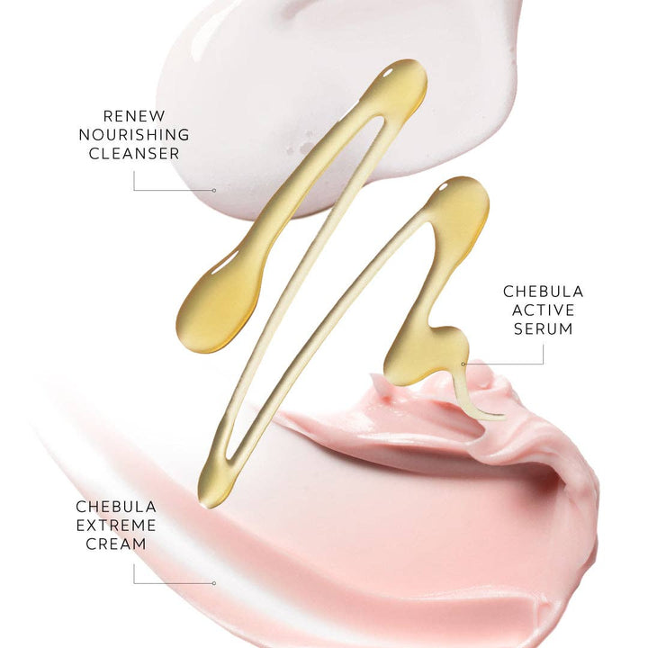 Deep Hydration Renewal Daily Essentials - Echo Market