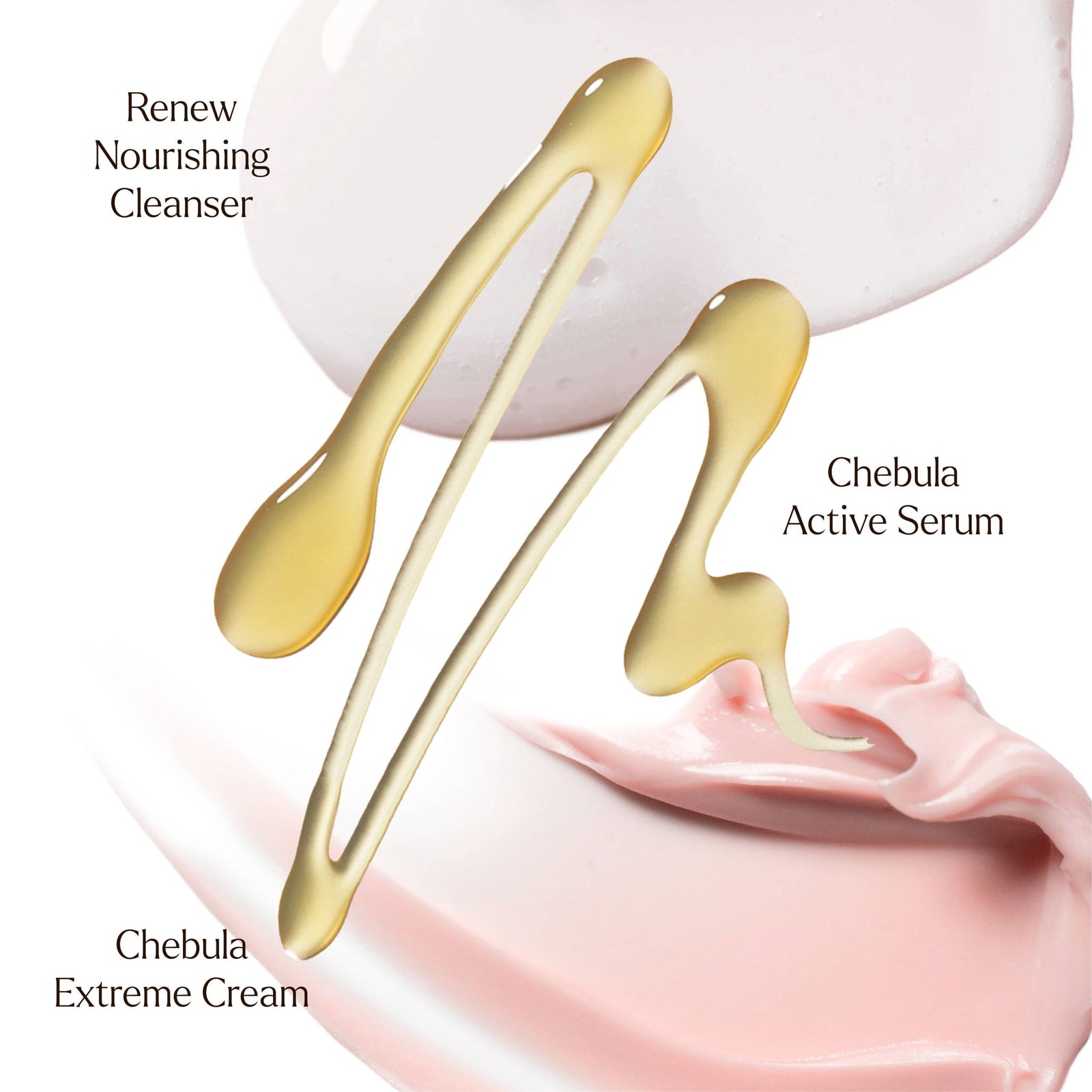 Deep Hydration Renewal Kit - Echo Market