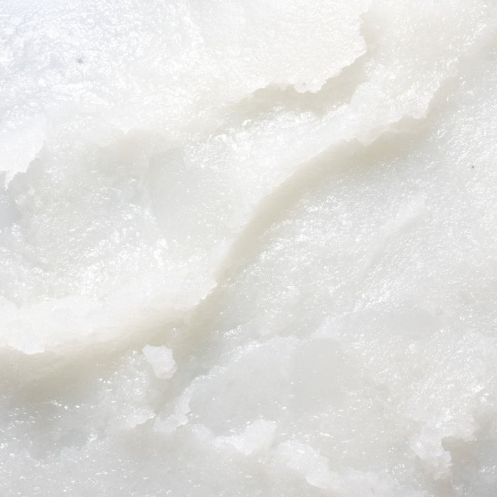 Deodorant Discovery Set - Echo Market