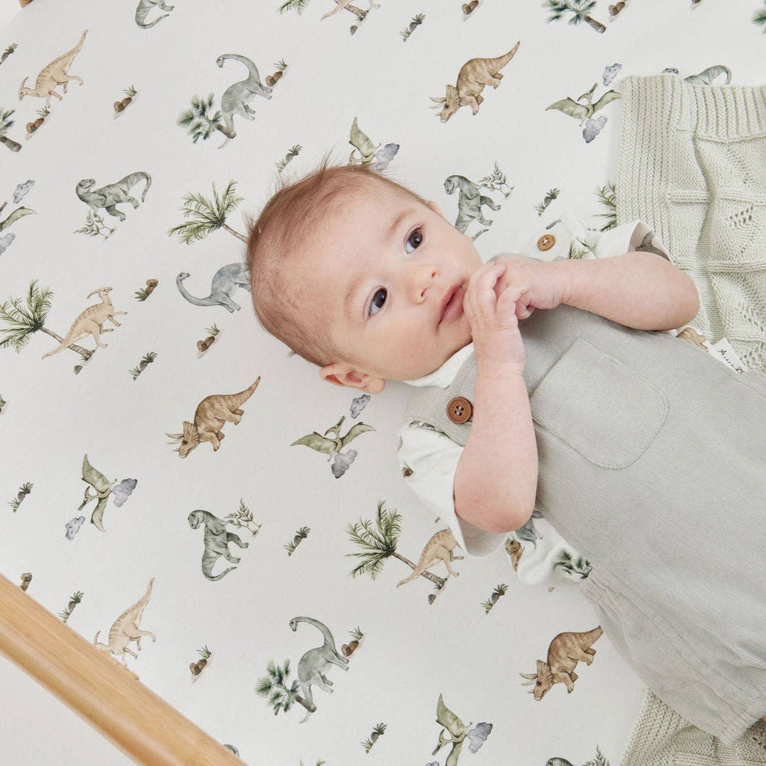 Dinosaur Organic Cot Sheet - Echo Market