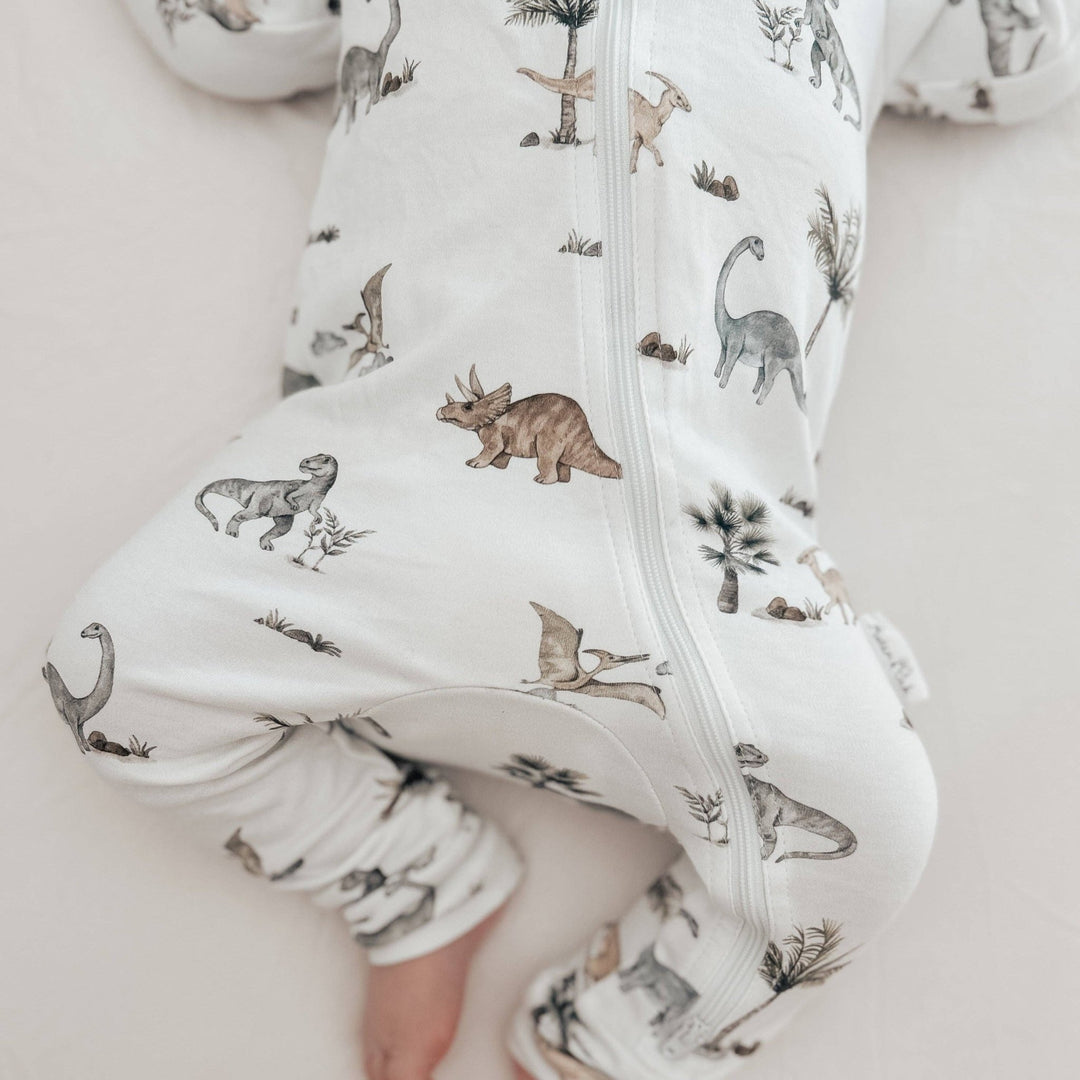 Dinosaur Zip Romper - Echo Market