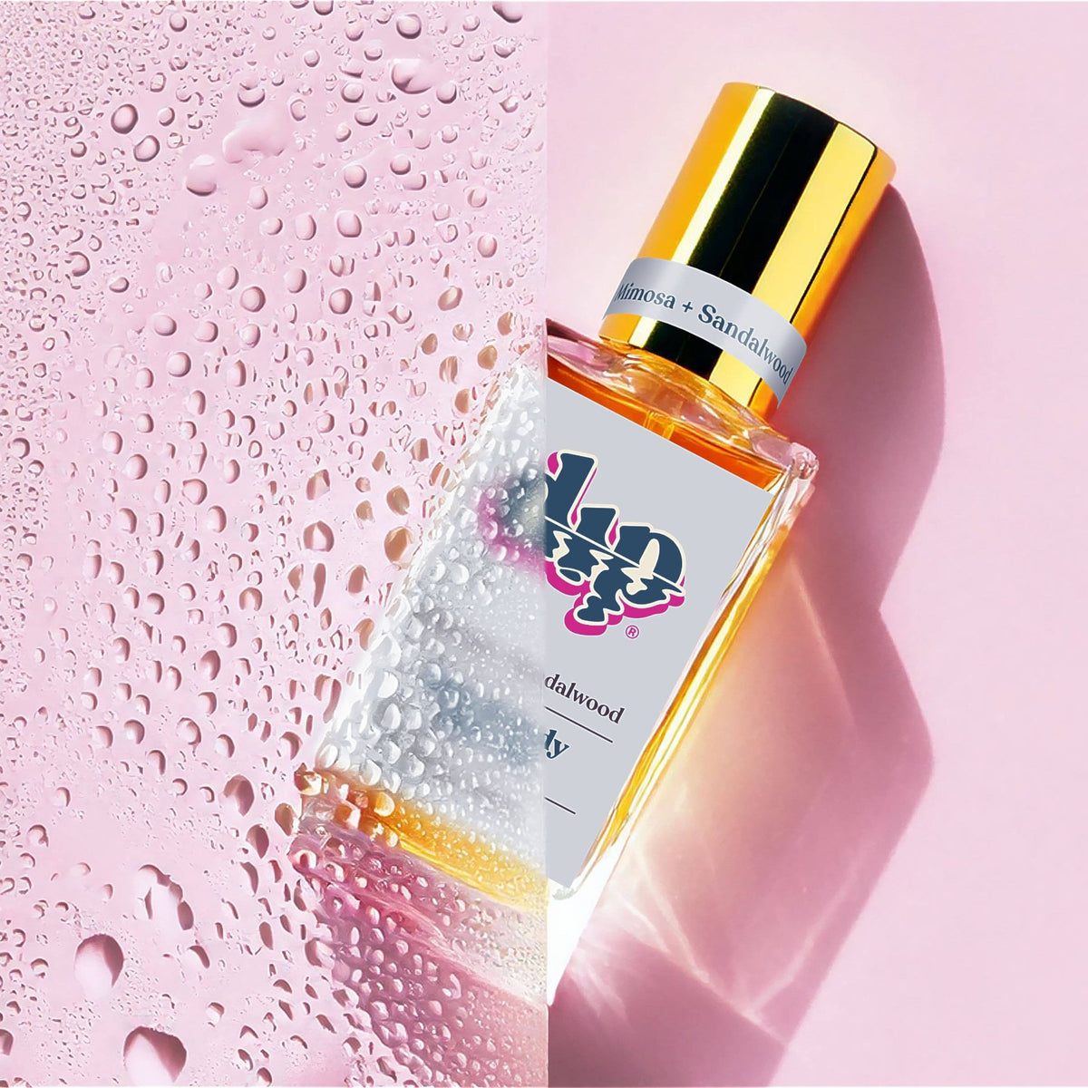 Dip Hair & Body Dry Oil | Mimosa & Sandalwood - Echo Market