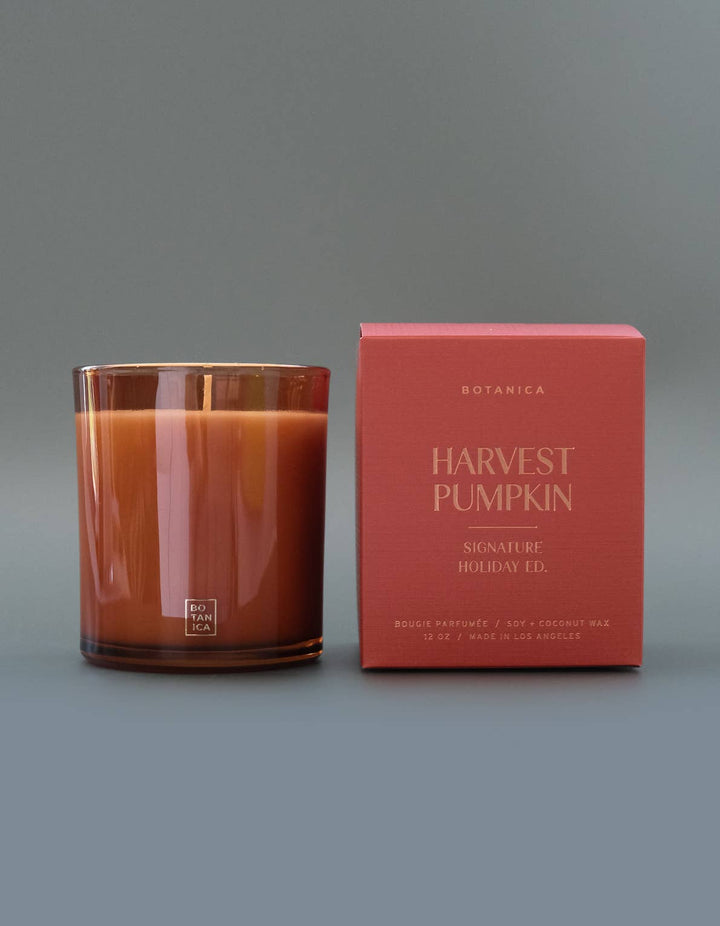 Harvest Pumpkin candle and its packaging on a gray background