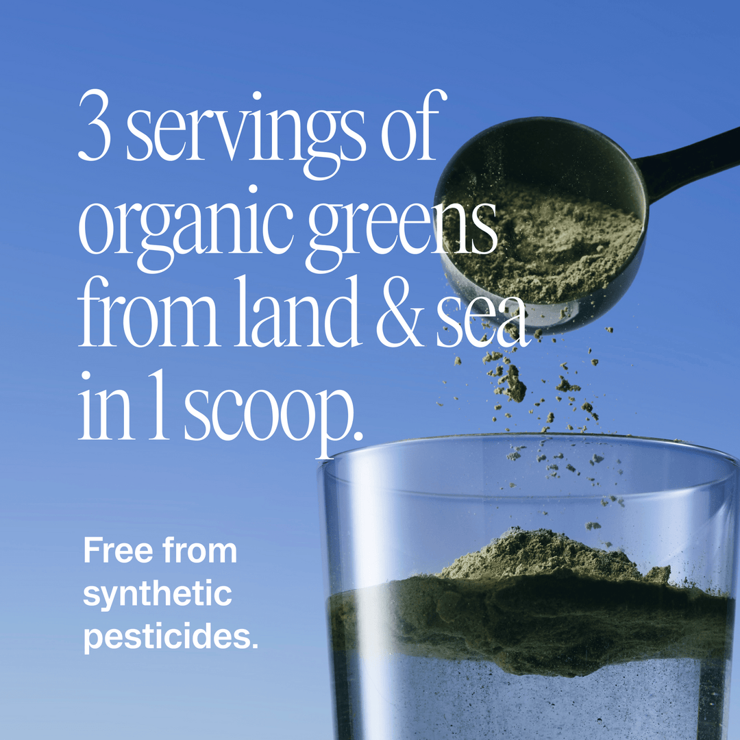 Easy Being Green | Superfood Greens Powder - Echo Market