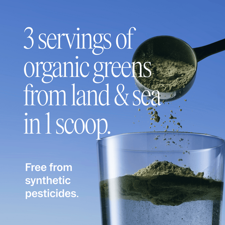 Easy Being Green | Superfood Greens Powder - Echo Market