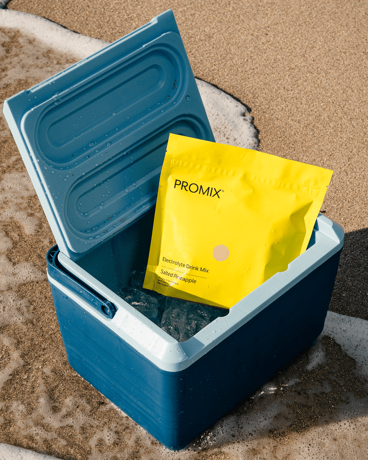 Electrolyte Drink Mix | Salted Pineapple - Echo Market