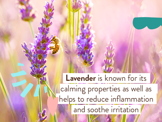 Eucalyptus Remedy Organic Soothing Chest Rub - Echo Market