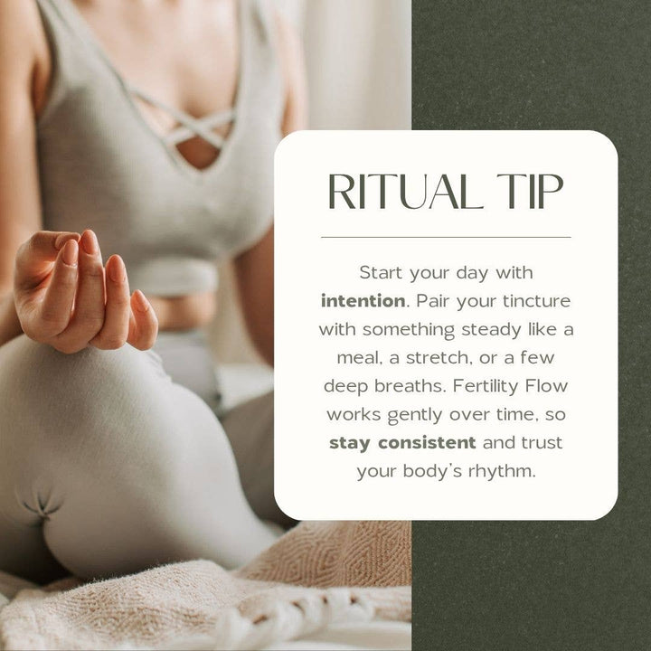 Fertility Flow Tincture | Women's Herbal Hormone Balance - Echo Market