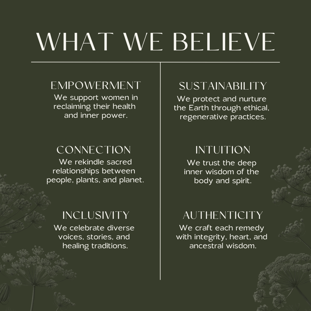 Fire Cider | Cold & Flu - Echo Market