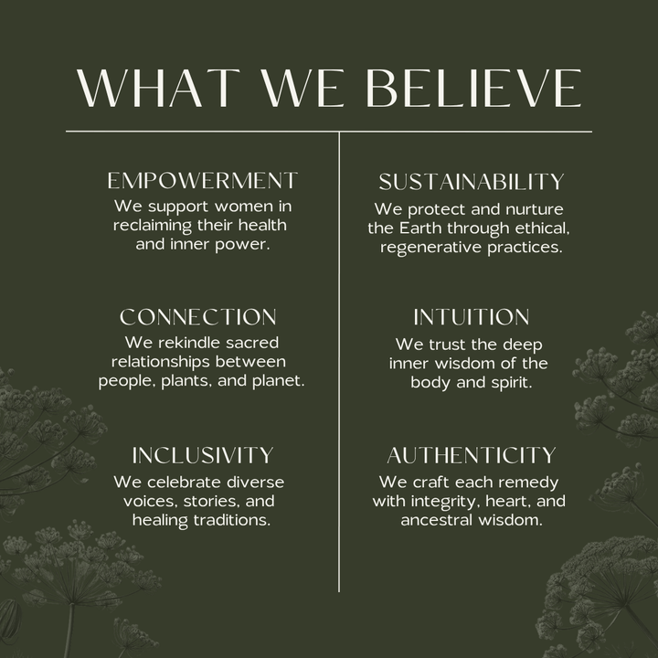 Fire Cider | Cold & Flu - Echo Market