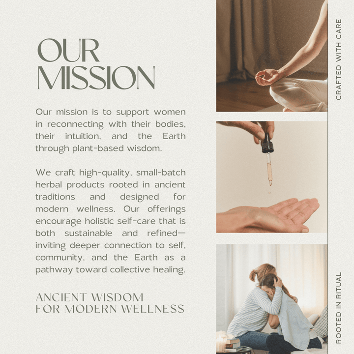 Fire Cider | Cold & Flu - Echo Market