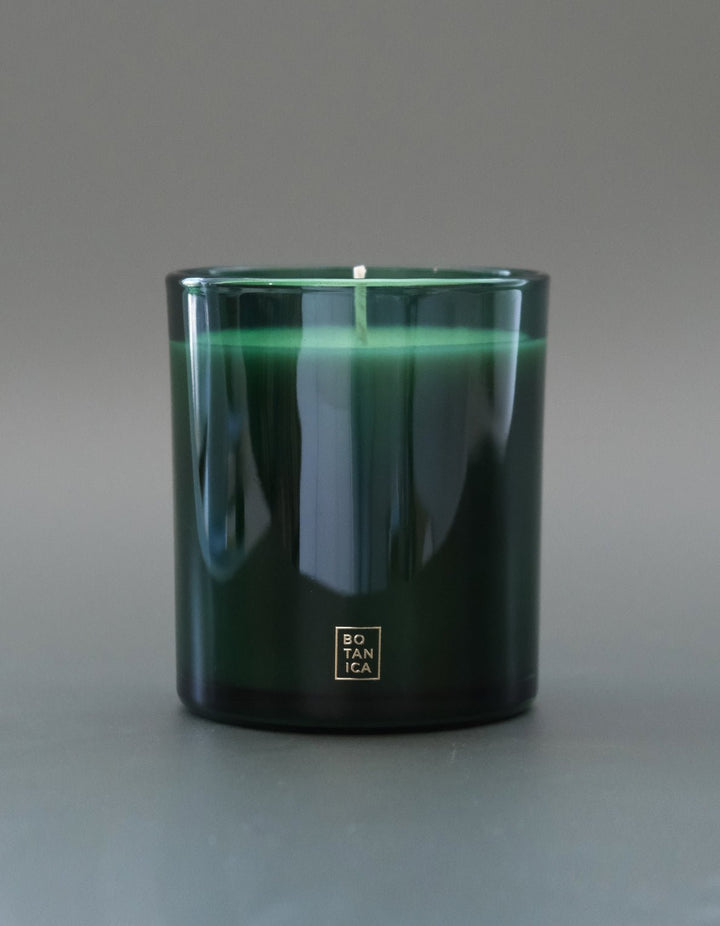 Fraser Fir Holiday Candle - Echo Market