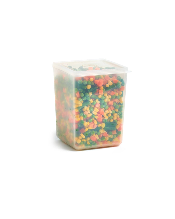 Freezer Cube Storage Containers - Echo Market