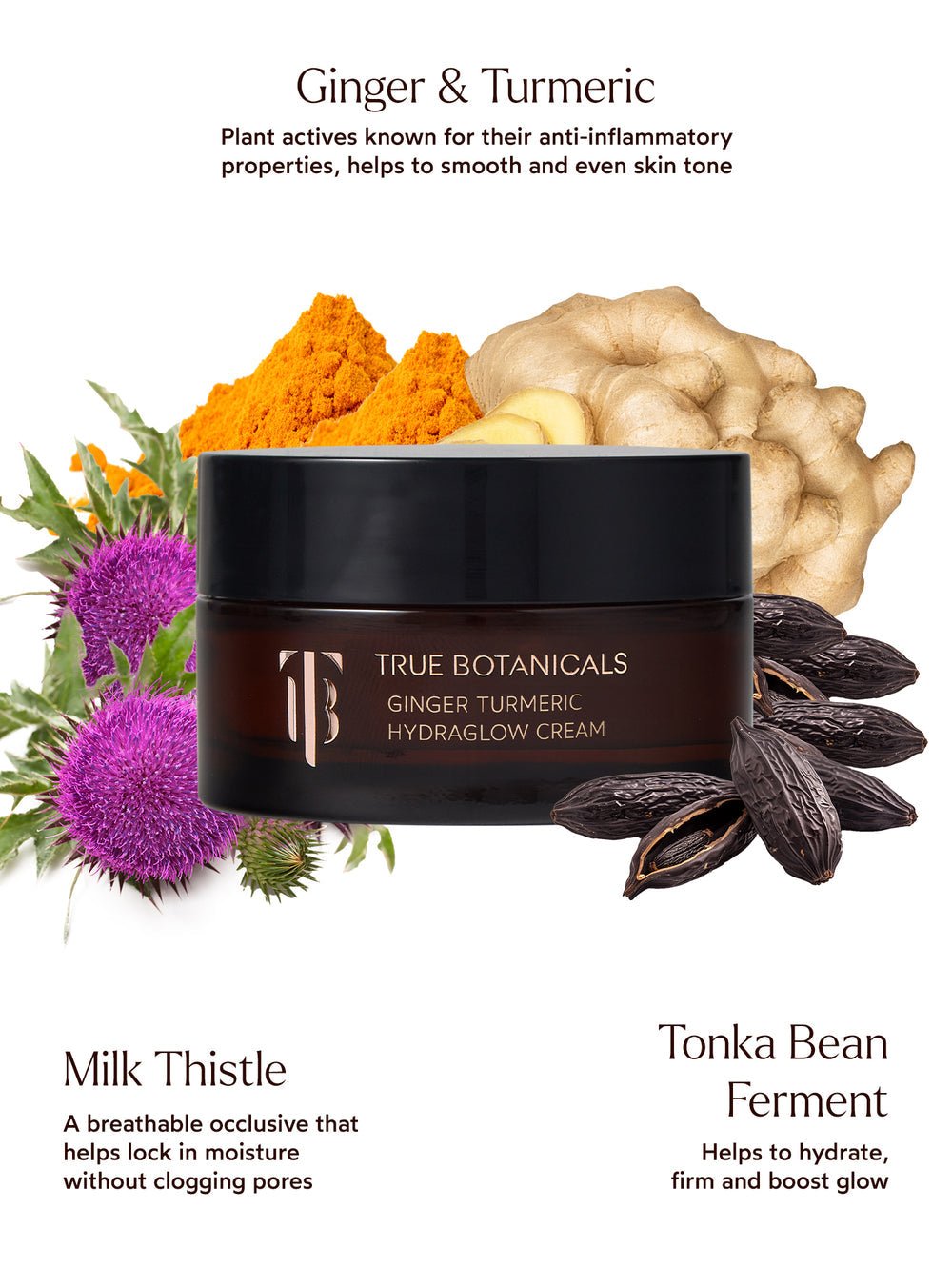 Ginger Turmeric Hydraglow Cream - Echo Market