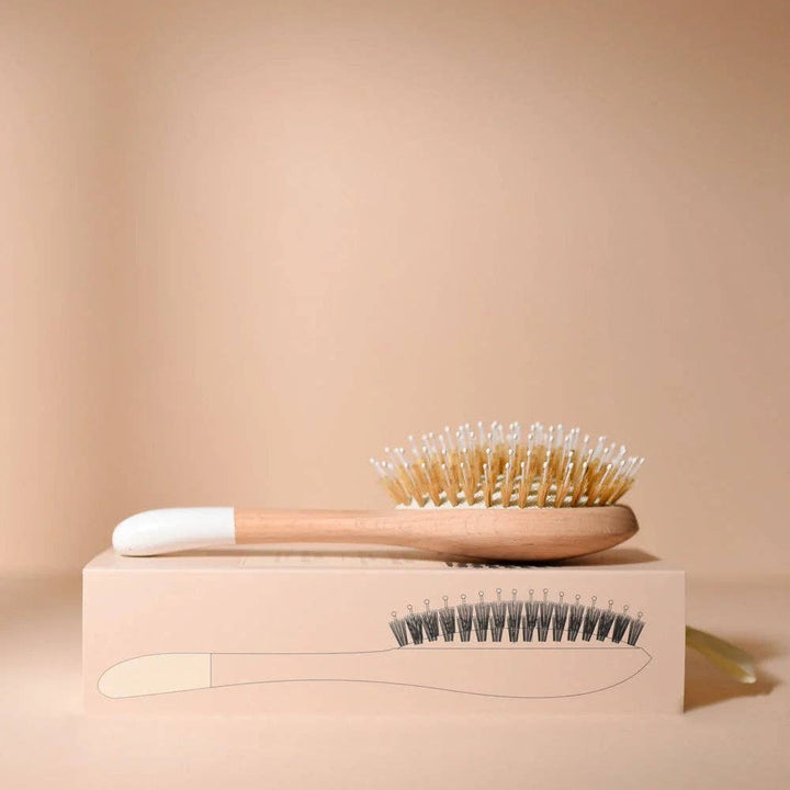 Gloss and Detangling Hair Brush - Echo Market