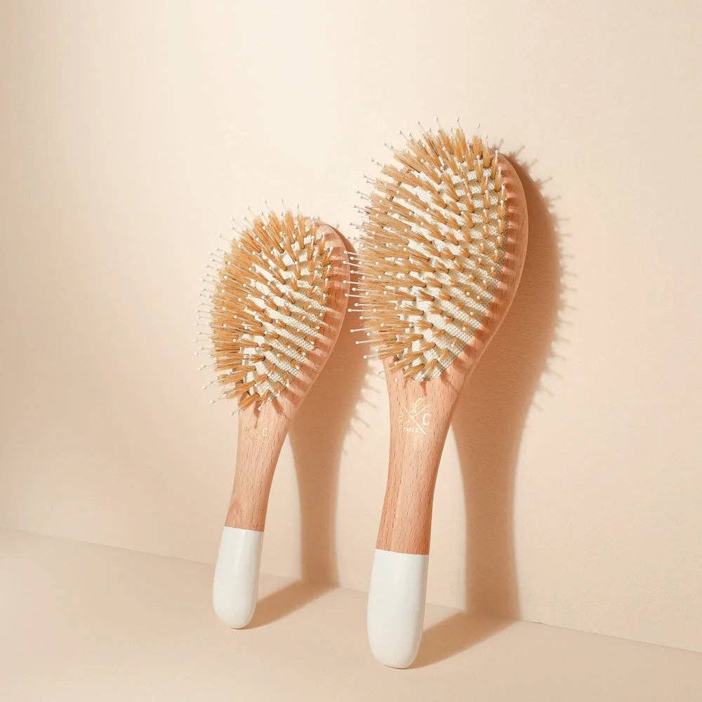 Gloss and Detangling Hair Brush - Echo Market