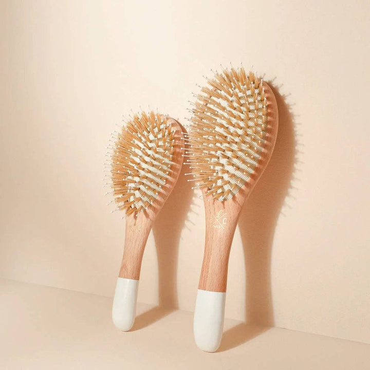 Gloss and Detangling Hair Brush - Echo Market