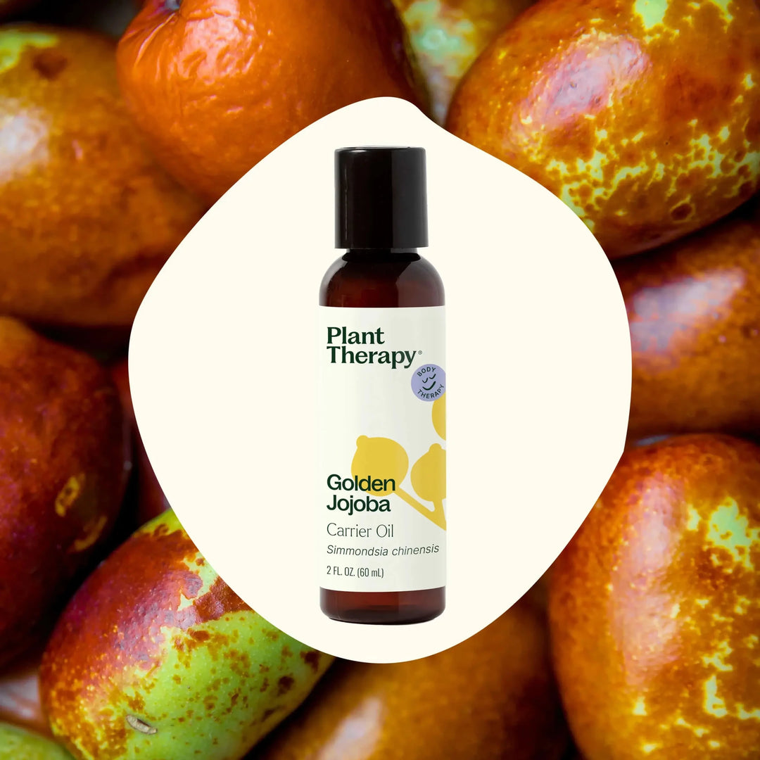 Plant Therapy Golden Jojoba Carrier Oil bottle on a background of fruits