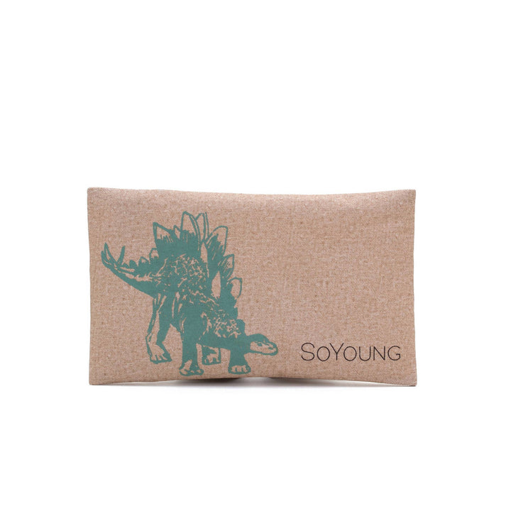 Green Stegosaurus Ice Pack - Echo Market