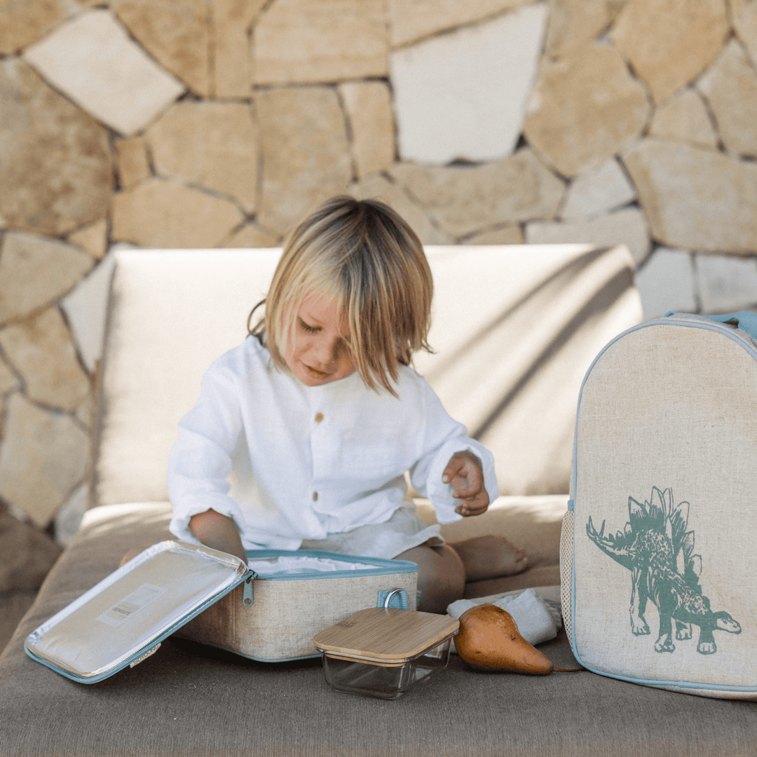 Green Stegosaurus Lunch Box - Echo Market