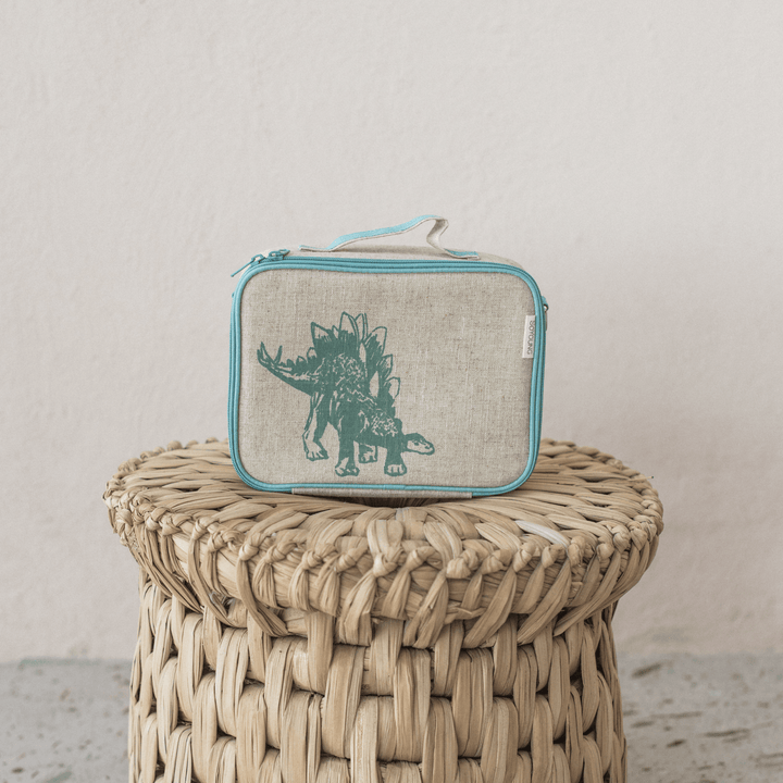 Green Stegosaurus Lunch Box - Echo Market