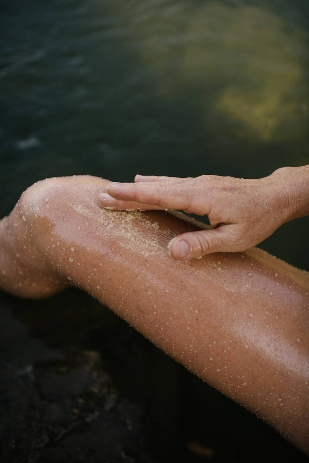 Guava Helichrysum Illuminating Shea Body Scrub - Echo Market