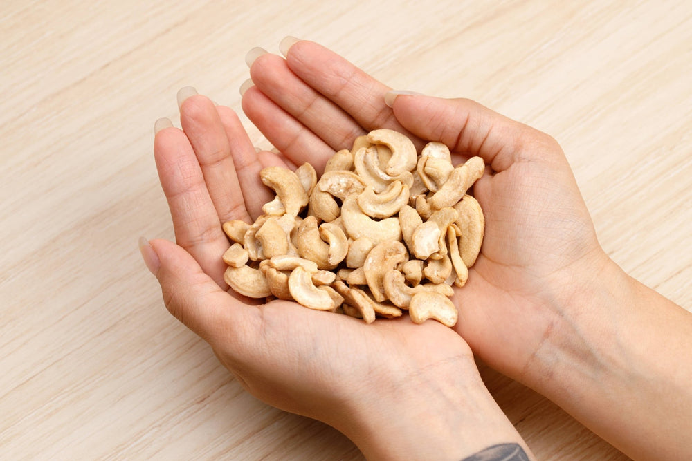 Gut Nuts | Fermented Cashews - Echo Market