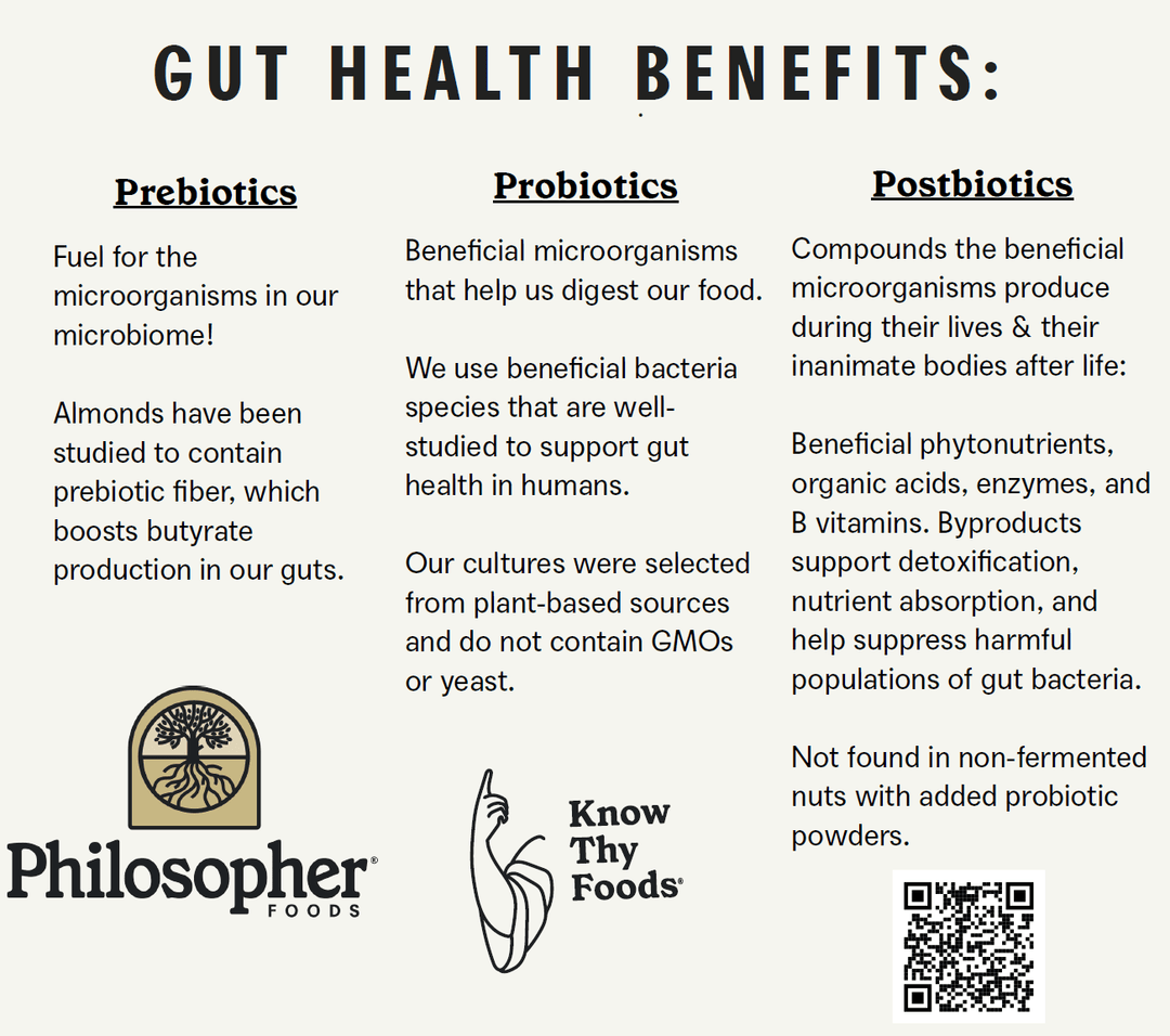 Gut Nuts | Fermented Cashews - Echo Market