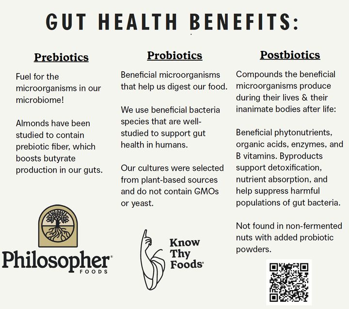 Gut Nuts | Fermented Cashews - Echo Market