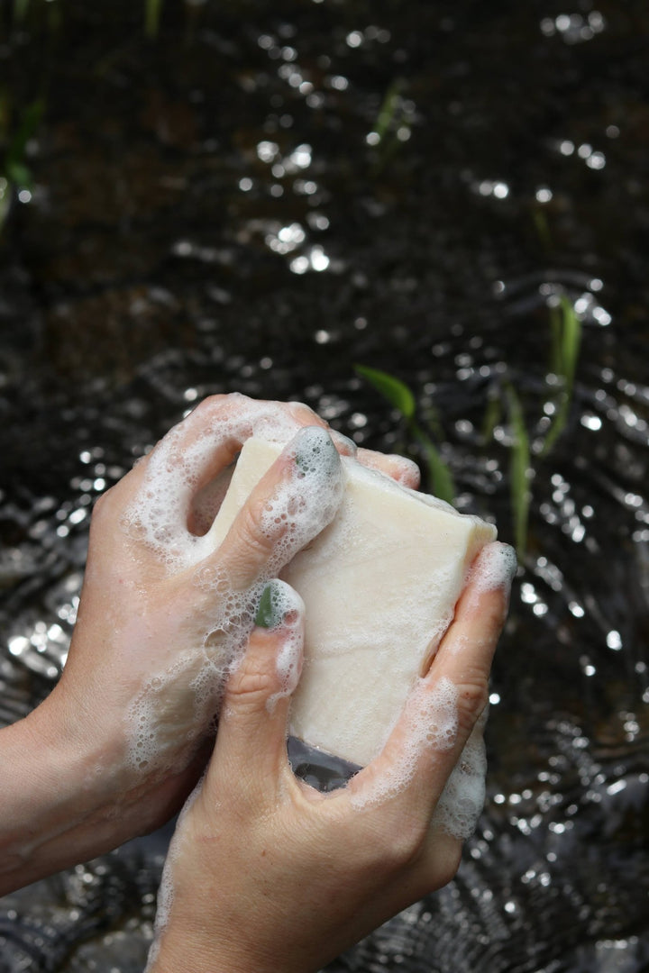 Hydrating Lavender Tallow Soap Bar - Echo Market