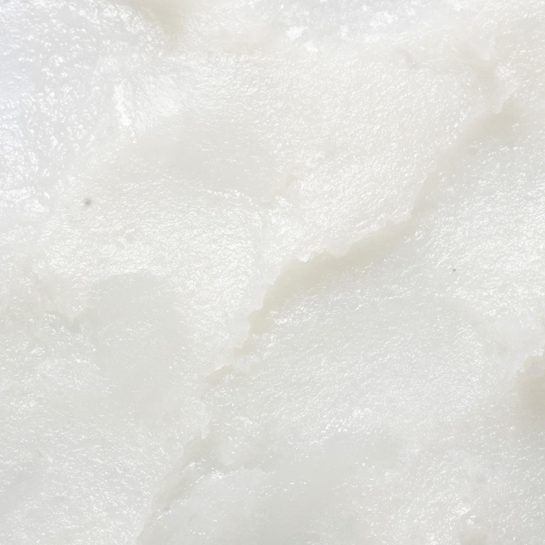 Hydrating Lip Balm | Provence - Echo Market