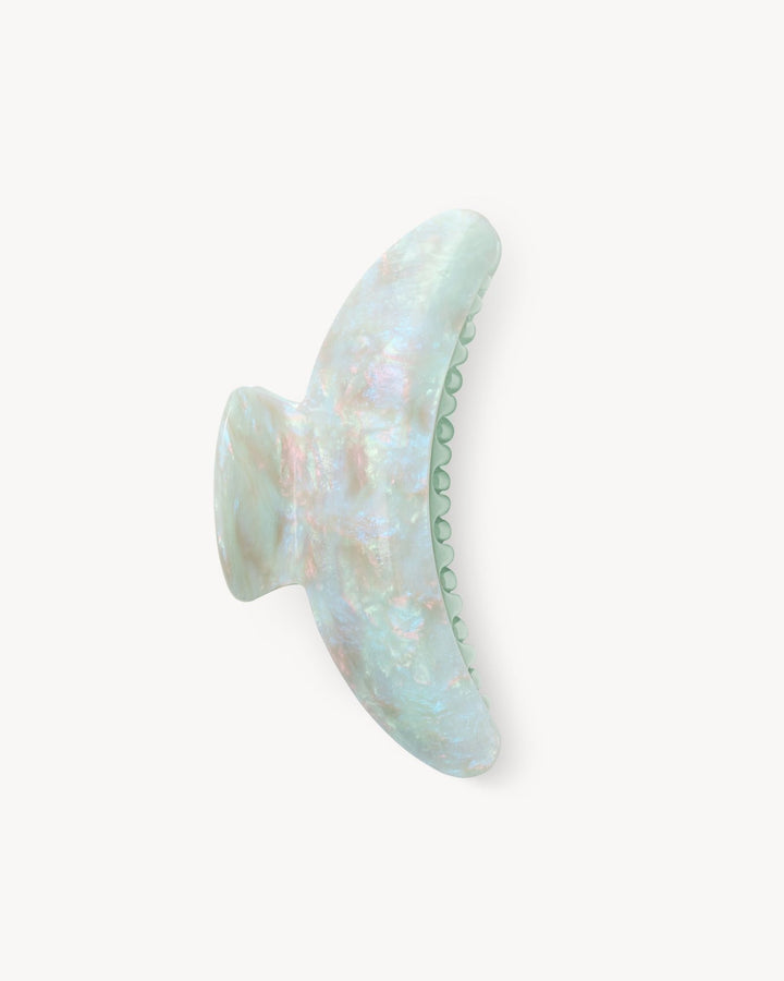 Jumbo Heirloom Claw - Echo Market