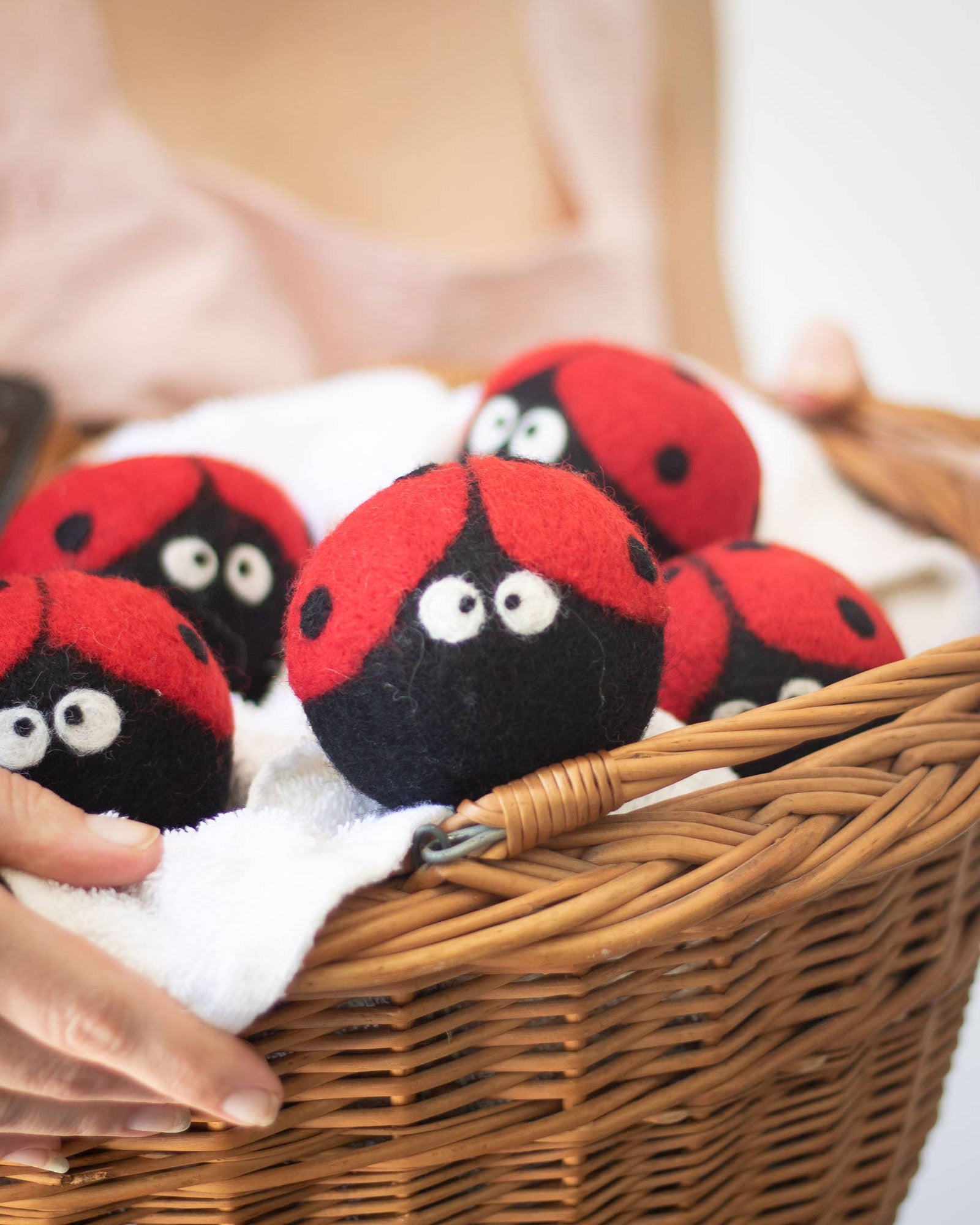 Ladybug Eco Dryer Balls - Echo Market