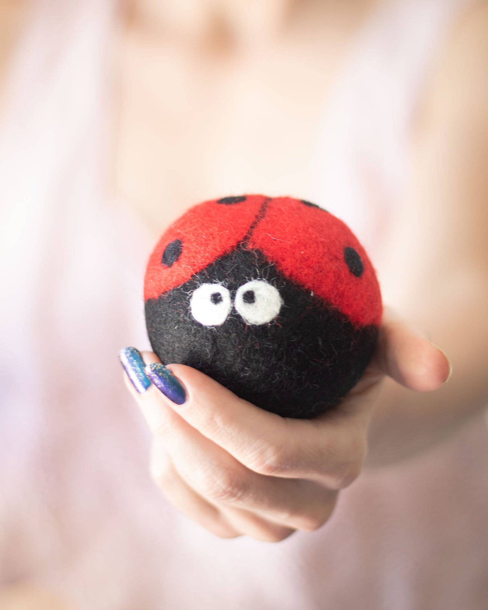 Ladybug Eco Dryer Balls - Echo Market