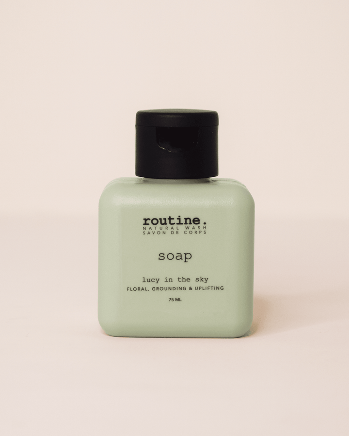 Lucy in the Sky | Natural Hand &amp; Body Wash - Echo Market