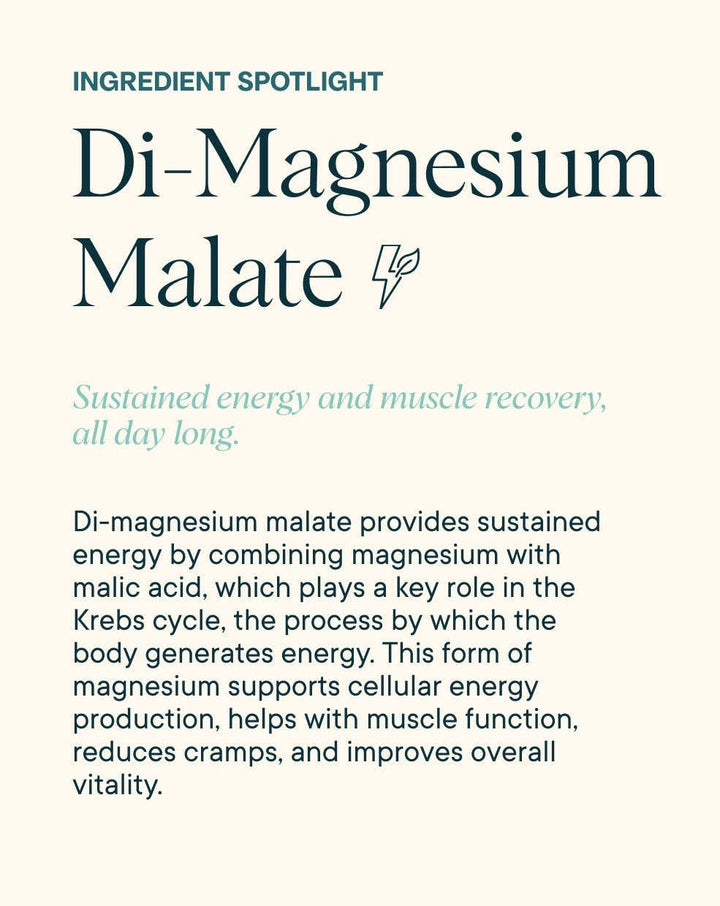 Magnificent | 4 - in - 1 Magnesium Powder Supplement - Echo Market