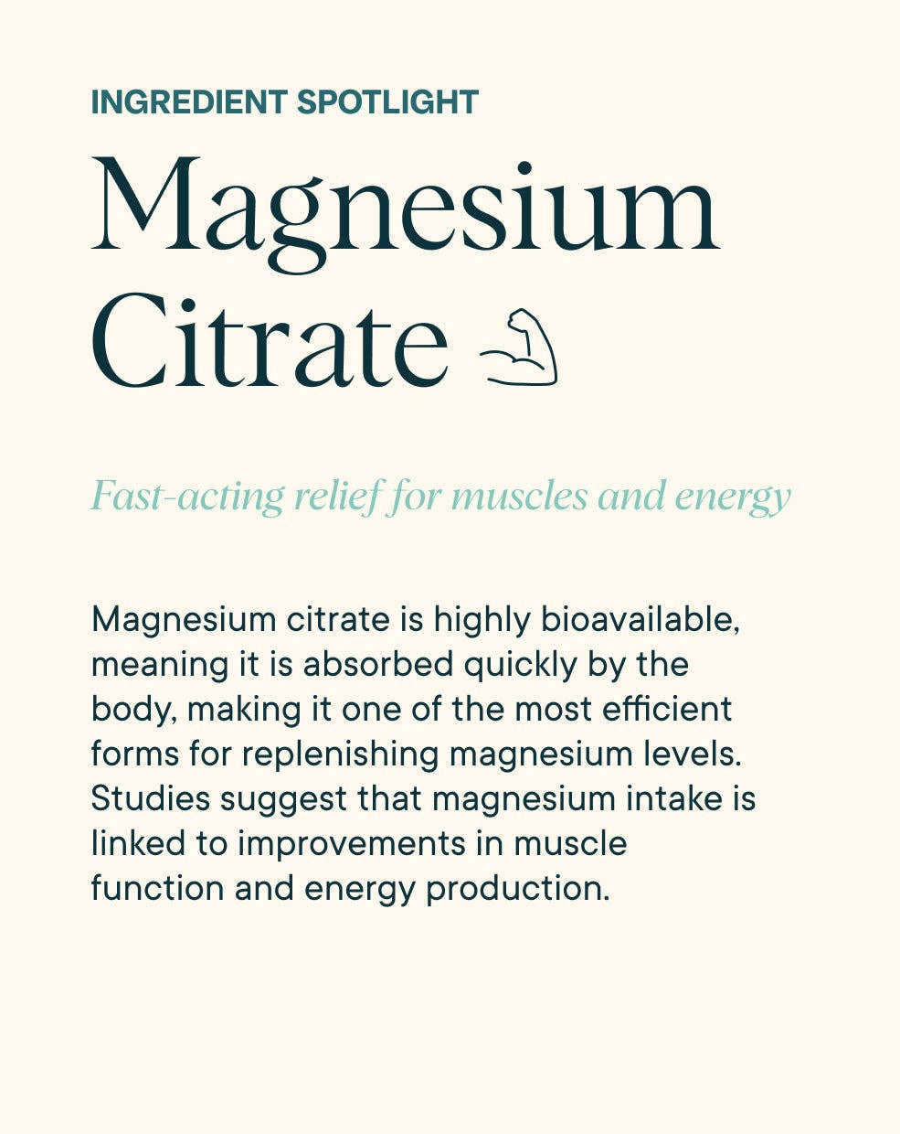 Magnificent | 4 - in - 1 Magnesium Powder Supplement - Echo Market