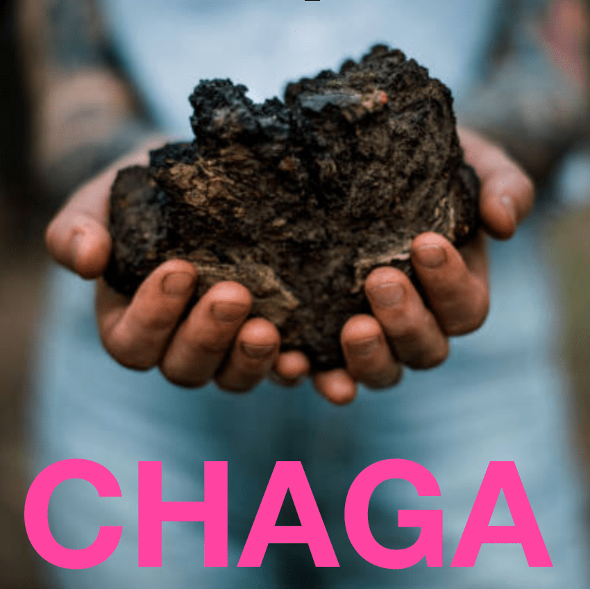 MENOPAUSAL GODDESS | Adaptogenic Chocolate Bar - Echo Market