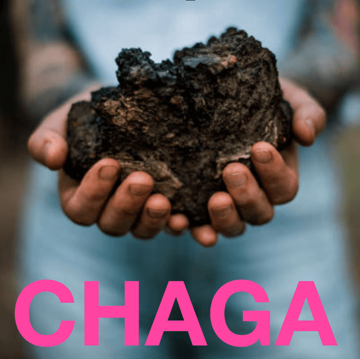 MENOPAUSAL GODDESS | Adaptogenic Chocolate Bar - Echo Market